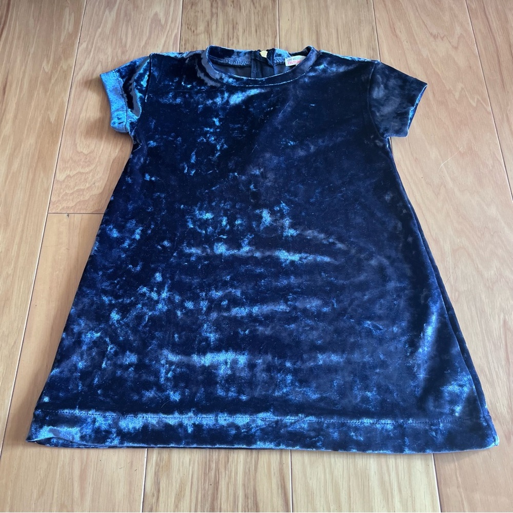 Crewcuts Shimmering Velvet Dress